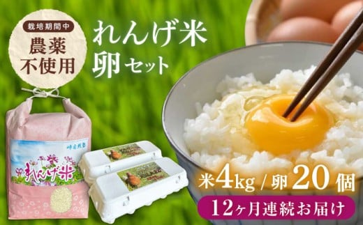 【全3回定期便】【令和7年度米】4kg・放し飼いたまご20個セット ヒノヒカリれんげ米 元気たまご【浅田峠自然塾】 [EA20]