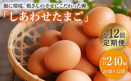 【12回定期便】 平飼い しあわせ たまご 40個＜松本養鶏場＞ [CCD031] 卵