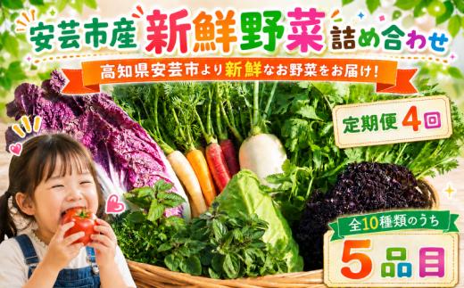 【全4回定期便】 新鮮お野菜詰め合わせセット 1～2人前｜定期便 2回 頒布会 人気 野菜 詰め合わせ セット 新鮮野菜 野菜定期便 野菜セット 季節の野菜 地元産 おすすめ ジャガイモ 玉ねぎ 人参 タマネギ にんじん トマト きゅうり なす 旬野菜 新鮮 お試し やさい定期便 野菜 定期便 1万円 高知県 安芸市