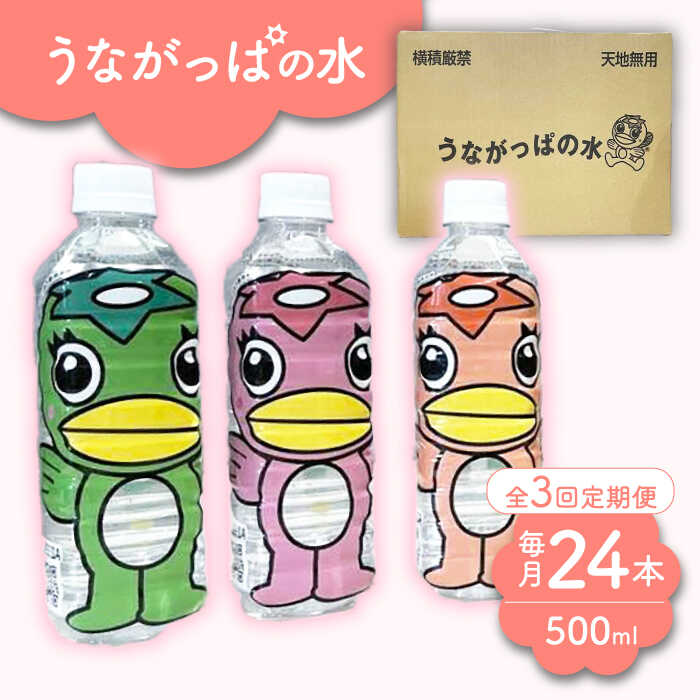 【ふるさと納税】【3回定期便】 うながっぱの水 1ケース（ 500ml ペットボトル × 24本 ） 2 多治見市 /多治見市観光協会 ミネラルウォーター 備蓄[TAQ007]