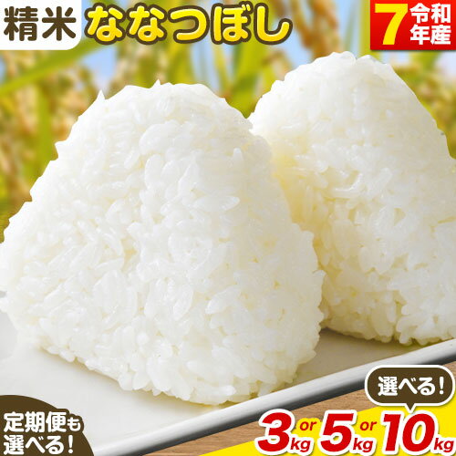 【ふるさと納税】【令和7年産先行予約】《10月末～（新米収穫出来次第、出荷）》精米ななつぼし3kg 5kg 10kg お米 米 白米 精米 備蓄米 北海道産 当別町産 定番 産地直送 ふっくら ご飯 こめ 農家直送選べる 単身 一人暮らし お手軽 ビオトープ利用型 自然四季農場
