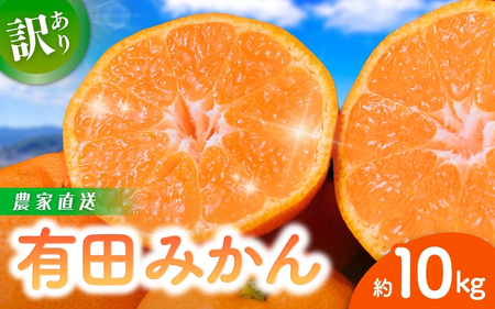 【ご家庭用】 有田みかん 約10kg サイズ混合 【nuk138F】