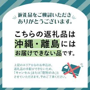 やまがたシードル750ml×2本 061-002