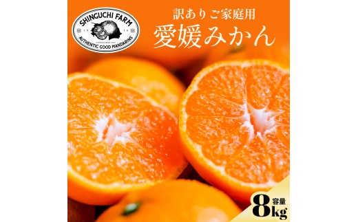 今シーズン発送開始!＜訳あり＞愛媛みかん 8kg 愛媛県産＜C70-150＞【1700905】 YWTK149