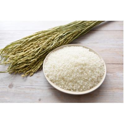 ふるさと納税 美唄市 【特Aランク】令和7年北海道産ななつぼし10kg(5kg×2袋) |  | 02