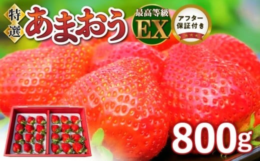 
                  【2026年11月より順次発送】特選あまおう　800g_福岡の最高級 あまおう 特選 800g 採れたて いちご 最高等級 エクセレント 最高級 グレード 大きい 赤い 艶 畑の宝石 特別栽培 食べごろイチゴ 福岡県 久留米市 フルーツ 贈答用 ギフト 農家から直送 取り寄せ 送料無料_Fi005
                