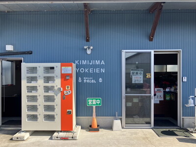 君嶋養鶏園のたまご Lサイズ 55個＋割れ補償5個（10個入り×6パック）計60個 | 卵 玉子 たまご 赤卵 赤たまご 生卵 国産 濃厚 鶏卵 コク 旨味 ※着日指定不可