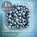 【ふるさと納税】北海道 洞爺湖町産 フレッシュ ブルーベリー 500g 2パック 計1kg 8月1日～25日頃お届け 北海道産 ブルーベリー 果物 果実 フルーツ 新鮮 国産 ベリー 農作物 お取り寄せ 冷凍 長期 保存 送料無料　お届け：2025年8月1日～25日まで