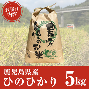 鹿児島県産ひのひかり(5kg) 【薪屋 薪の助】 A960