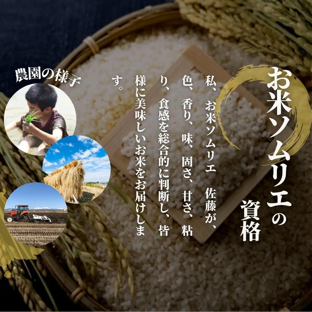 【先行予約】令和8年産 新米 玄米 食べ比べ 2kg(コシヒカリ1kg・新之助1kg) | 新潟県産 米 五泉市