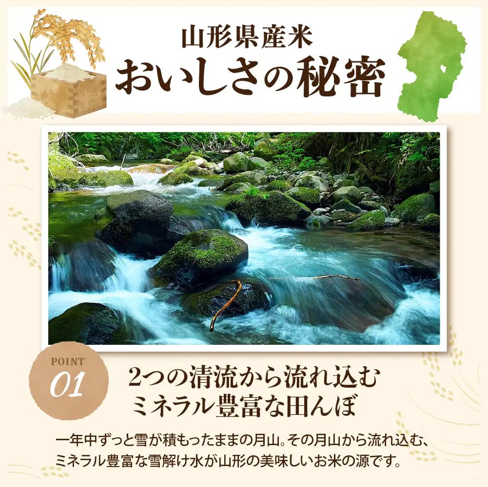 【令和8年産米】2027年6月下旬発送 雪若丸20kg（5kg×4袋） 山形県産 【米comeかほく協同組合】 ka024-053d-r8-063