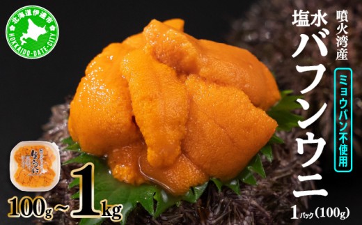 
                  ＜ 順次配送 ＞北海道 噴火湾産 塩水 バフンウニ 100g~1kg 《アフター保証付き》うに ミョウバン不使用 塩水うに ウニ 雲丹 北海道産 生バフンウニ
                