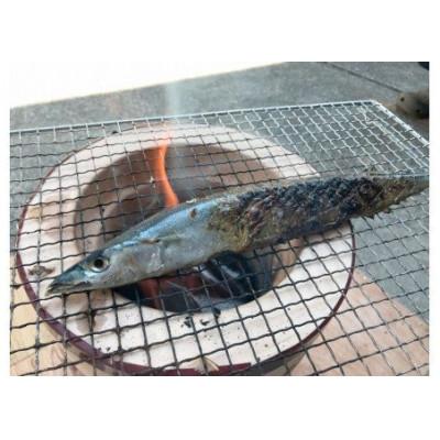 ふるさと納税 南伊豆町 湯の花　干物セット4種 |  | 03