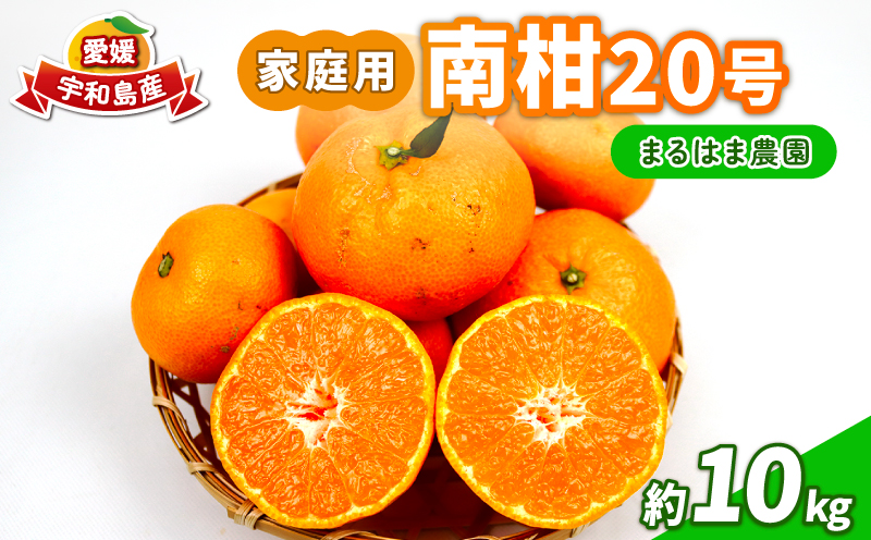 家庭用 南柑20号 10kg まるはま農園 甘い 美味しい 先行予約 温州 みかん うんしゅう 温州みかん 愛媛ミカン 愛媛蜜柑 愛媛県産 みかん 蜜柑 mikan 果物 くだもの フルーツ 柑橘 数量限定 産地直送 国産 愛媛 宇和島 B015-202001
