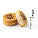 【ふるさと納税】 【松山老舗和菓子店】こいずみの大判焼［白あん］8個入×2箱