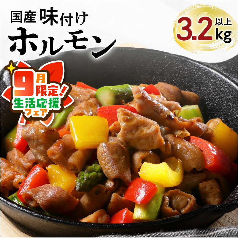 【ふるさと納税】【期間限定 生活応援】【 ナンチクファクトリー 】 国産豚 味付けホルモン 3.2kg 以上（F） 鹿児島市 国産 豚 もつ ホルモン 味付き 加工肉 加工品 惣菜 おかず 食品 時短 焼くだけ おすすめ ギフト プレゼント 焼肉 BBQ キャンプ 小分け 大容量 ボリューム