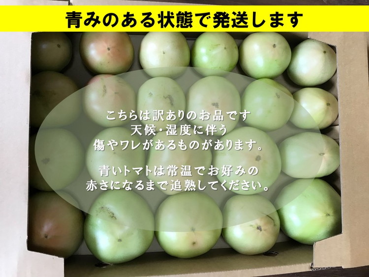 訳あり トマト そのままでも 美味しい 【石墨清流トマト】糖度9～11度 久万高原町 トマトソース　※離島への配送不可