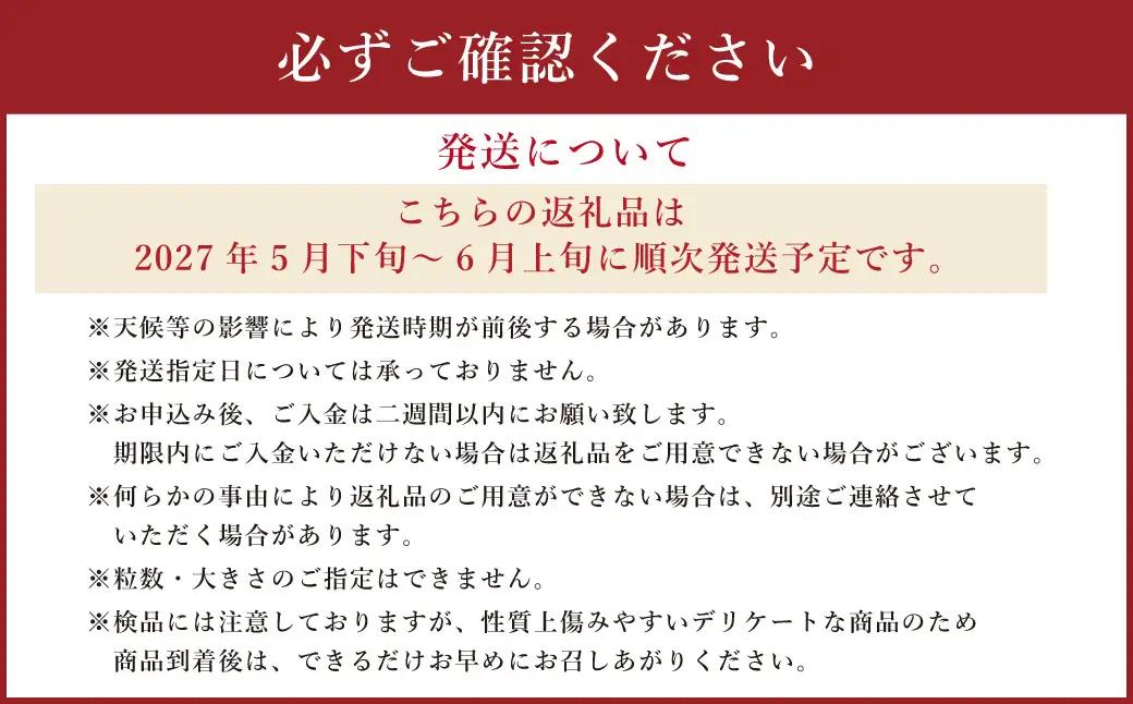 ＜ R8年熊本地震復興支援 ＞黒小玉 BonBonリッチ 1玉 【2027年5月下旬から6月上旬迄発送予定】すいか 西瓜 果物 くだもの フルーツ