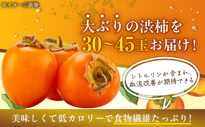 【先行予約】【11月上旬より順次発送】手作り干し柿用 渋柿 あたご柿 M~2L 10kg(約30玉〜45玉)　愛媛県大洲市/沢井青果有限会社 [AGBN022]秋 フルーツ 果物 柿ジャム かき 柿レ