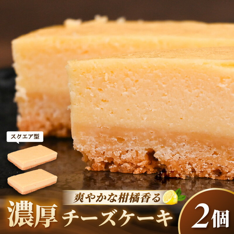 【ふるさと納税】濃厚スイーツ チーズケーキ スクエア（8cm×12cm×2個セット）【発送月をお選びください】【デザート 菓子 お菓子 洋菓子 スイーツ おやつ クッキー生地 冷凍】 [e44-a014]