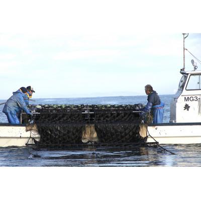 ふるさと納税 亘理町 宮城県荒浜産 あらはま海苔 焼海苔詰合せ　5種 |  | 03