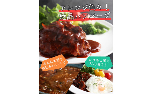 佐賀牛入りがばいハンバーグ150g×10個 161-J772