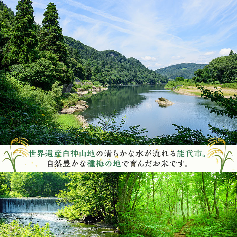 令和7年産 新米 米 秋田 あきたこまち 杜の雫 18kg （9kg×2袋） 秋田県産 お米 こだわりの大粒 種梅産 白米 精米 ご飯 ブランド米 大粒 おにぎり 産地直送 送料無料 秋田県