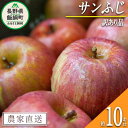 【ふるさと納税】 りんご サンふじ 訳あり 10kg 丸山りんご園 沖縄県への配送不可 令和6年度収穫分 長野県 飯綱町 〔 傷 不揃い リンゴ 林檎 果物 フルーツ 信州 長野 19000円 予約 農家直送 〕発送時期：2024年12月上旬～2024年12月下旬 {*}