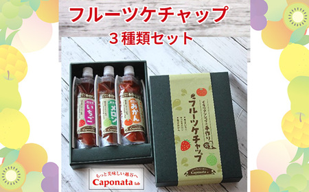 No.247 【フルーツケチャップ】苺、メロン、みかんの3種類セットレシピ付き