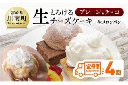 【定期便４回コース】とろける生チーズケーキ（プレーン・チョコ）+メロンパン【スイーツ ケーキ チーズケーキ プレーン チョコ 洋菓子ケーキ スプーンでケーキ  おまけつきケーキ 全4回】