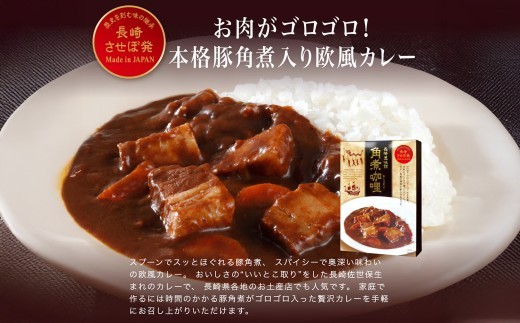 
                  E509【ごろごろ具だくさん！】ポストにお届け！ 角煮カレー･牛すじカレー SUSIEセット【長崎豊味館】簡単 レトルト カレー 牛すじ 角煮 長崎  防災食 非常食
                
