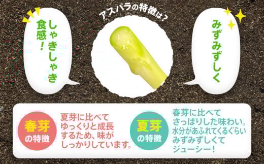 アスパラガス 夏芽 2L 1kg【6月から8月お届け】 BT06 夏芽【6月から8月お届け】