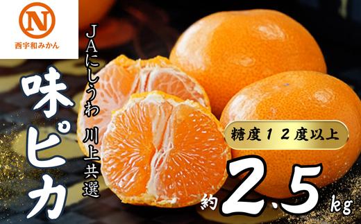 
            JAにしうわの季節の柑橘(川上共選　味ピカ2.5kg)＜C08-78＞【1510453】
          