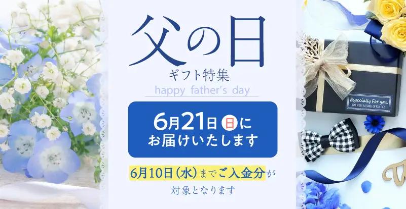 【父の日当日にお届け】横浜大宝餃子 もちもち国産ジャンボ大宝餃子90個（30個×3） 父の日ギフト AKN0004-F