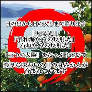 日の丸みかん「千兩」3kg　約25～35個/L・Mサイズ/2箱セット/光センサー使用【E79-7】【1452030】