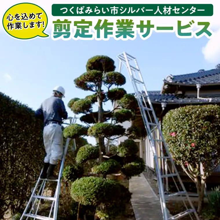 剪定作業 庭木 植木 庭の手入れ 代行 実家