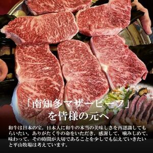  数量限定 牛肉 サーロインステーキ 170g×4枚 南知多マザービーフ 国産牛 [配送不可地域：離島]