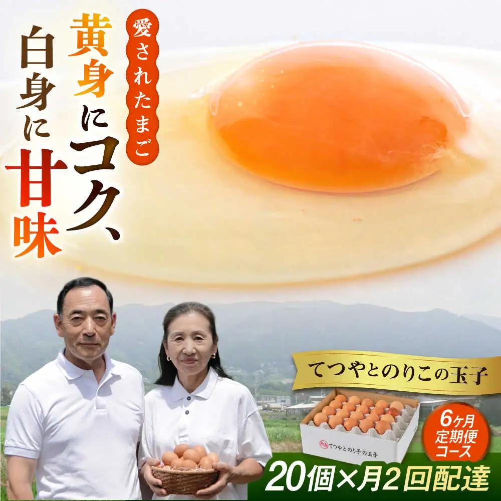 【月2回定期便】 卵 20個×6ヶ月 てつやとのりこの玉子 卵 たまご [AWD013]