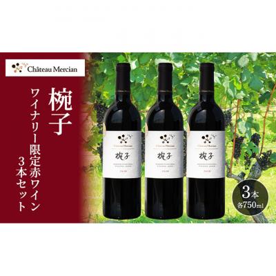 ふるさと納税 上田市 限定 赤ワイン 750ml 3本セット[54041121]