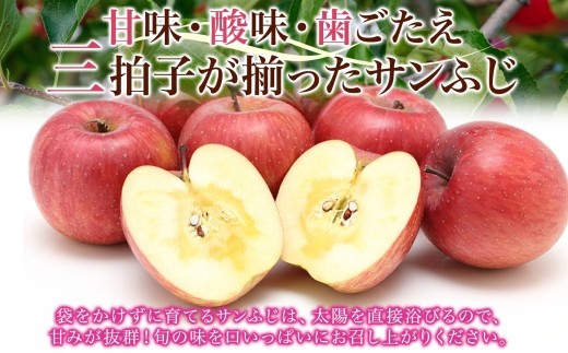 サンふじ 3kg （S規格）10～12玉