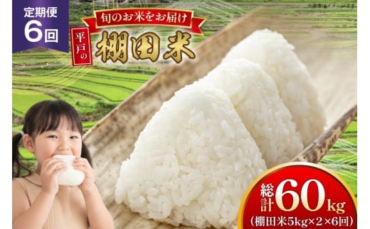 米 令和7年 棚田米 5kg 2袋 計 10kg 6回 定期便  総計60kg [ひらど新鮮市場 長崎県 平戸市 hr42bgy400182] 令和7年産 コメ こめ ごはん ご飯 こしひかり ひのひかり にこまる