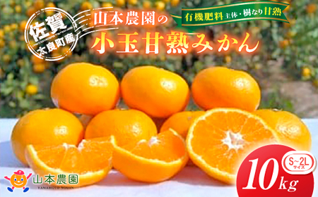 山本農園の甘熟みかん 10kg　みかん ミカン 蜜柑 温州みかん 完熟みかん 甘熟 国産 佐賀県産 太良町 こだわり プレミアム 贈答品 産地直送 有機栽培 詰め合わせ N29x1 【2026年10月下旬～2027年1月下旬】