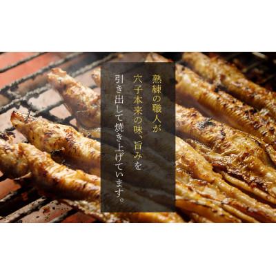 ふるさと納税 備前市 焼穴子 約500g |  | 02