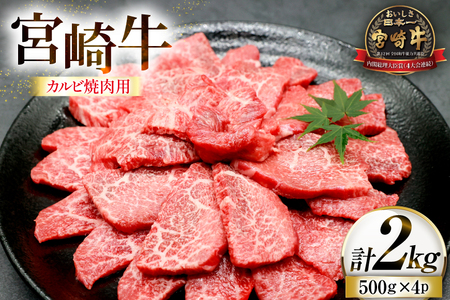 牛肉 宮崎牛 カルビ 焼肉用 500g 4p 計 2kg [ローカルブランディング 宮崎県 日向市 452061523] 冷凍 小分け 黒毛和牛 黒毛 A4 A5 焼肉 焼き肉 BBQ バーベキュー 国産