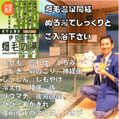 
＜薬用入浴剤＞伊豆函南畑毛の湯:畑毛温泉の成分そのままの「温泉の素」若竹の湯色10回分【1380547】
