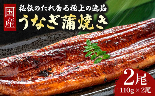 うなぎ 蒲焼き セット 220g (110g×2本) ／Esu-A92
