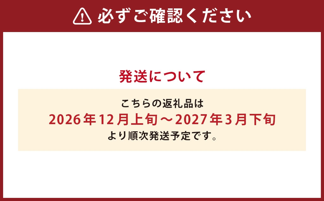みかん約5kg