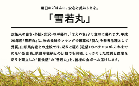 ＜先行予約＞ 新米 雪若丸 精米 5kg 10月上旬〜10月中旬発送 配送時期選べる 令和7年産 2025年産 ※沖縄・離島への配送不可 tf-ywsxb5-10f