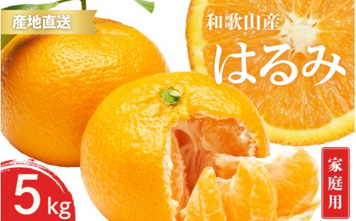 
                  【先行予約】家庭用 訳あり はるみ 和歌山 有田 2S～3Lサイズ混合 5kg【1月下旬～3月下旬までに順次発送予定】/ みかん フルーツ 果物 くだもの 蜜柑 柑橘【ktn047】 
                