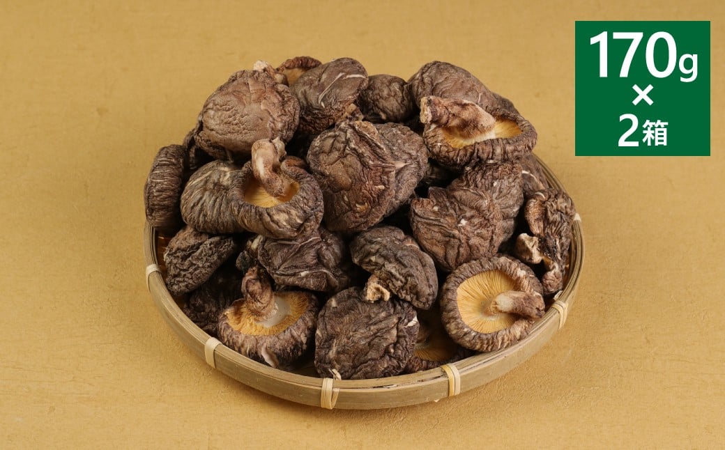 熊本県人吉・球磨産 乾椎茸 どんこ 箱詰 170g×2箱セット